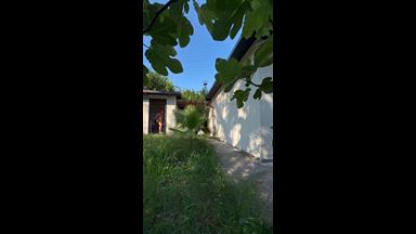 Spy on me in my garden