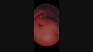 my big tits 🤤🔥
