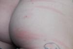 WHIPPED BUTT