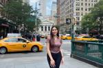 NYC/CALIFORNIA