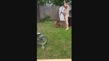 backyard naked.