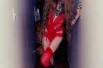 gingerfox