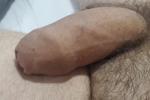 Flacid cock with foreskin