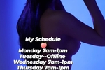 Schedule