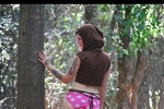 Forest Fairy
