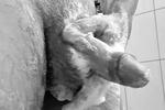 stopfer 1 — Dusche...