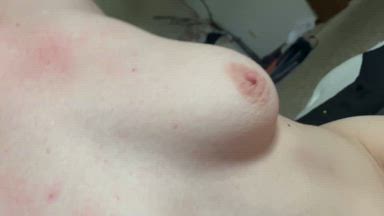 Boobies