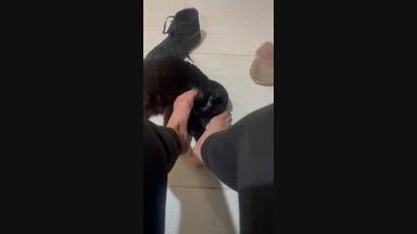 My cat loves being petted by my sweaty feet