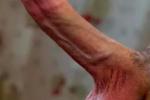 hornycanadian live Chaturbate webcam gallery thumbnail