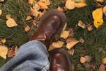 gold autumn