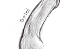Dick drawing example
