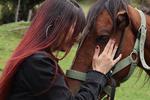 Love Animals <3