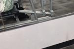 workout wed