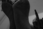 Shoes Lovers
