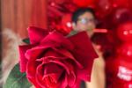 Happy Valentine's Day