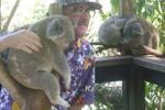 aussie ozzie โ Me with a Koala Bear