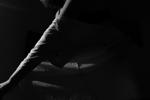anetta v live Chaturbate webcam gallery thumbnail