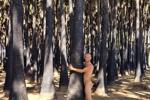 naked in a palm forest