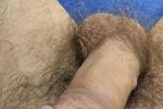 sexy cock