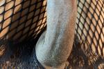 Kat’s cock and ass
