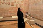 Royal Ontario Museum