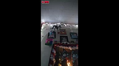 Elf on the Shelf