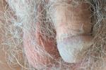 hairy