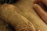 Cock