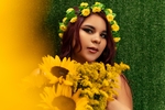 Sunflower 🌻