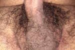 Sexy dick