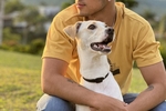 My dog