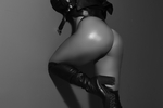 the shadows of eroticism