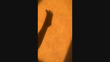 i am ai โ SunRise