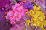 a flower for you