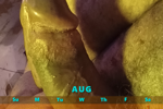 unclebubbausa — Happy Summer