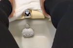 Suck my toes