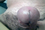 Cock