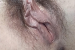 Fully hairy pussy