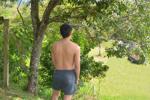 Andres h