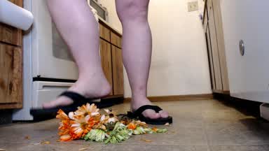 Stomp Carnations