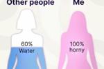 funny memes