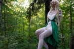 cospley Elf (´｡• ω •｡)