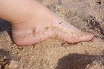 feet
