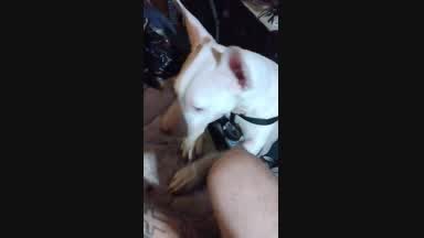 jax