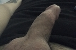 Bs