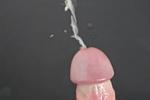 Orgasm
