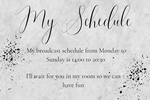 My Schedule