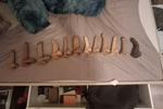 Dildo colection update