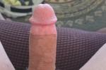 Bear Cock