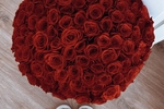 🌹 I ❤️ RED ROSES 🌹